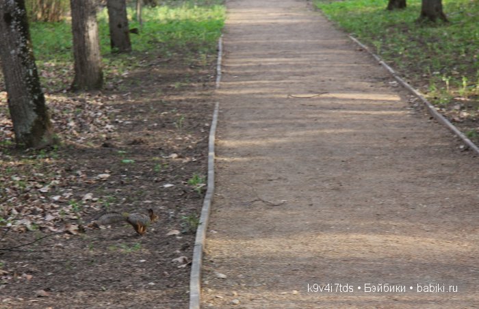 Берново. Armand Marseille