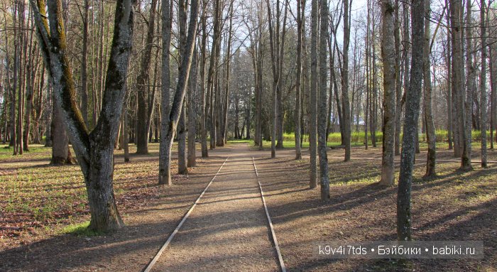 Берново. Armand Marseille