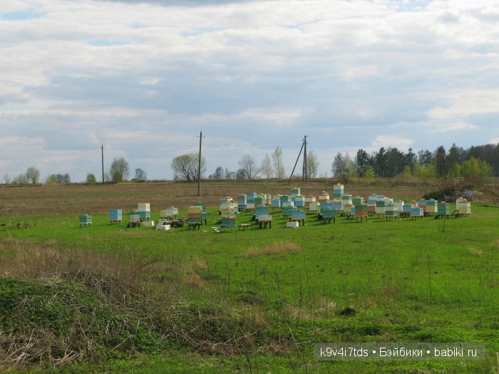 Берново. Armand Marseille (фото 6)