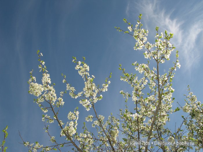 Дивная сказка или волшебный сон в Чукавино?! Реплика антикварной куклы Bébé BRU JNE от автора Branka Schärli