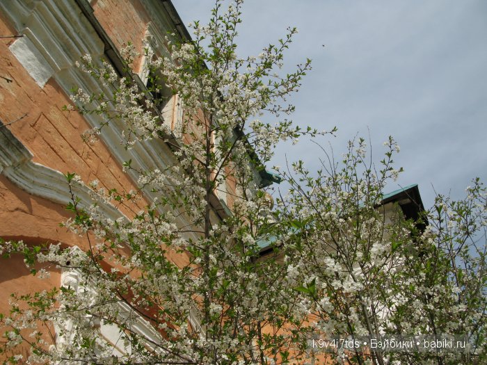 Дивная сказка или волшебный сон в Чукавино?! Реплика антикварной куклы Bébé BRU JNE от автора Branka Schärli (фото 3)