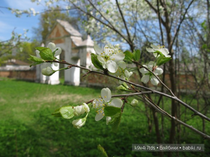 Дивная сказка или волшебный сон в Чукавино?! Реплика антикварной куклы Bébé BRU JNE от автора Branka Schärli (фото 5)