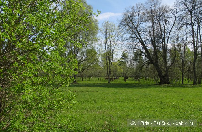 Дивная сказка или волшебный сон в Чукавино?! Реплика антикварной куклы Bébé BRU JNE от автора Branka Schärli (фото 8)