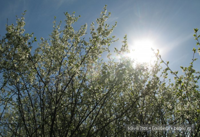 Дивная сказка или волшебный сон в Чукавино?! Реплика антикварной куклы Bébé BRU JNE от автора Branka Schärli
