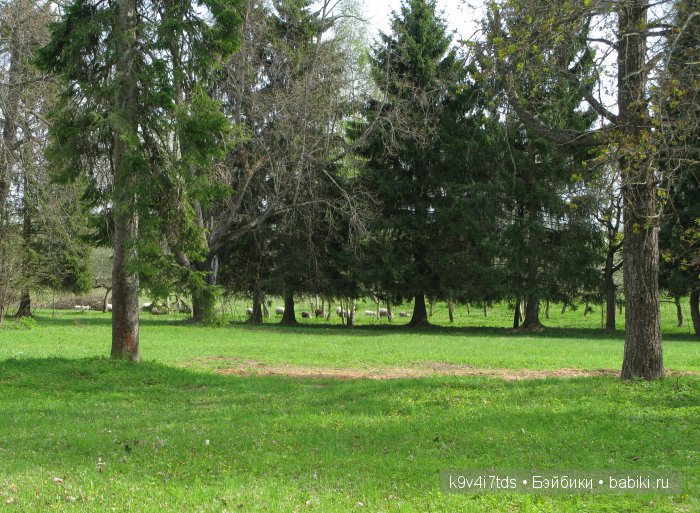 Дивная сказка или волшебный сон в Чукавино?! Реплика антикварной куклы Bébé BRU JNE от автора Branka Schärli (фото 10)
