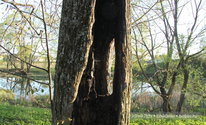 Путешествие с Натали по Тверскому Пушкинскому кольцу - Село Грузины - кукла SFBJ молд 301 | Бэйбики Путешествие с Натали по Тверскому Пушкинскому кольцу - Село Грузины - кукла SFBJ молд 301 (фото 8)