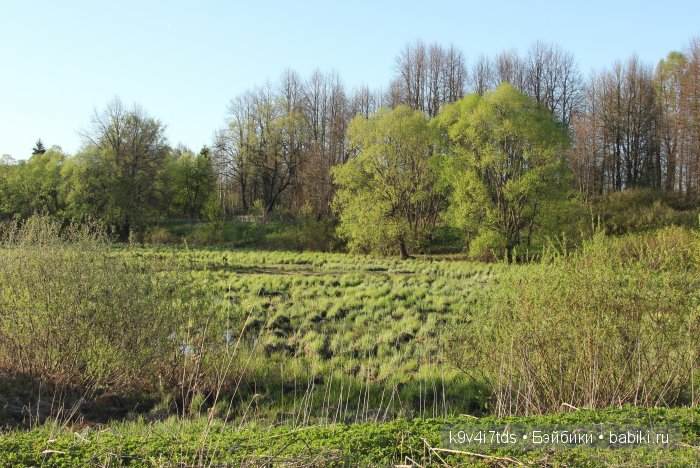 Путешествие с Натали по Тверскому Пушкинскому кольцу - Село Грузины - кукла SFBJ молд 301 | Бэйбики Путешествие с Натали по Тверскому Пушкинскому кольцу - Село Грузины - кукла SFBJ молд 301 (фото 6)