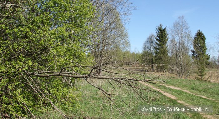 Путешествие с Натали по Тверскому Пушкинскому кольцу. Часть вторая. Из Красного в Берново