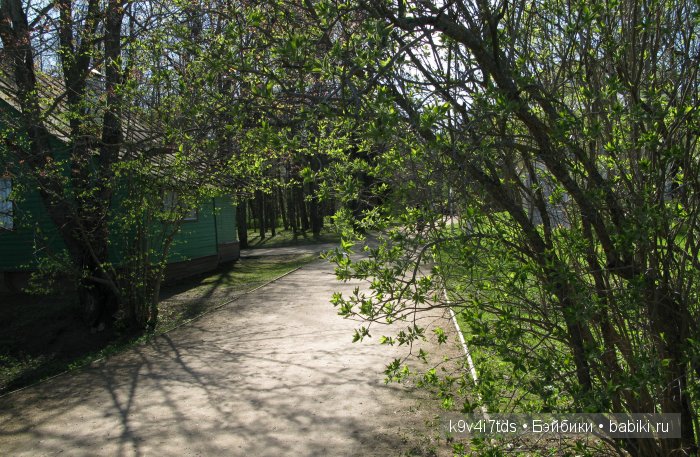 Путешествие с Натали по Тверскому Пушкинскому кольцу. Часть вторая. Из Красного в Берново