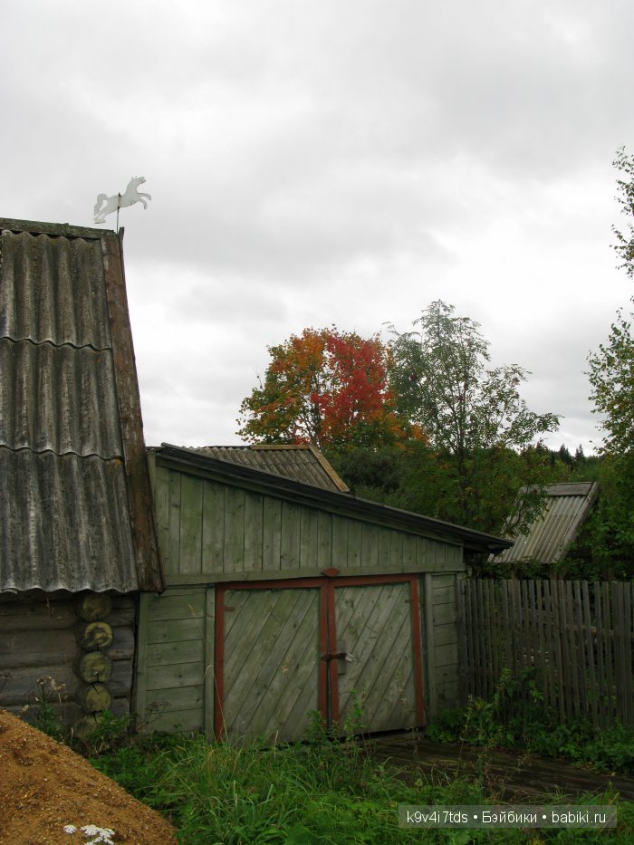 Путешествие с Натали по Тверскому Пушкинскому кольцу. Часть вторая. Из Красного в Берново