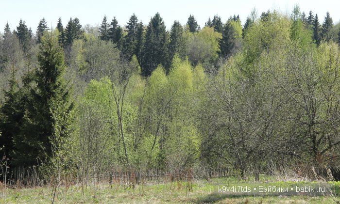 Путешествие с Натали по Тверскому Пушкинскому кольцу. Часть вторая. Из Красного в Берново