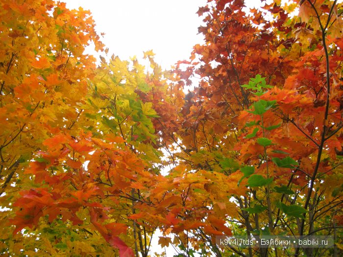 Путешествие с Натали по Тверскому Пушкинскому кольцу. Часть вторая. Из Красного в Берново