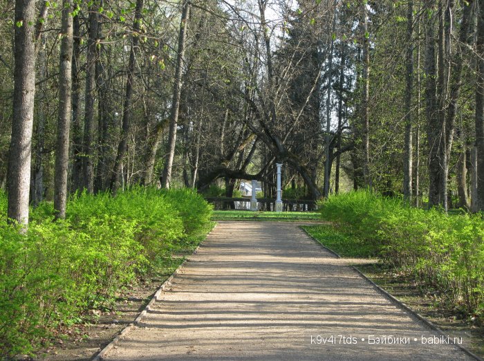 Путешествие с Натали по Тверскому Пушкинскому кольцу. Часть третья. Прекрасное Берново (фото 3)