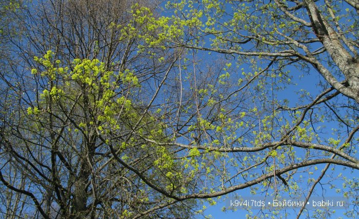 Путешествие с Натали по Тверскому Пушкинскому кольцу - кукла производства SFBJ молд 301