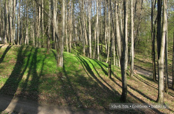 Путешествие с Натали по Тверскому Пушкинскому кольцу - кукла производства SFBJ молд 301