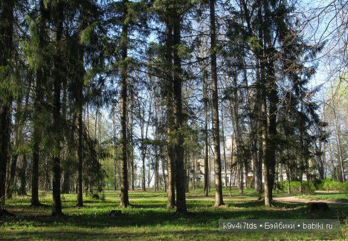 Путешествие с Натали по Тверскому Пушкинскому кольцу - кукла производства SFBJ молд 301