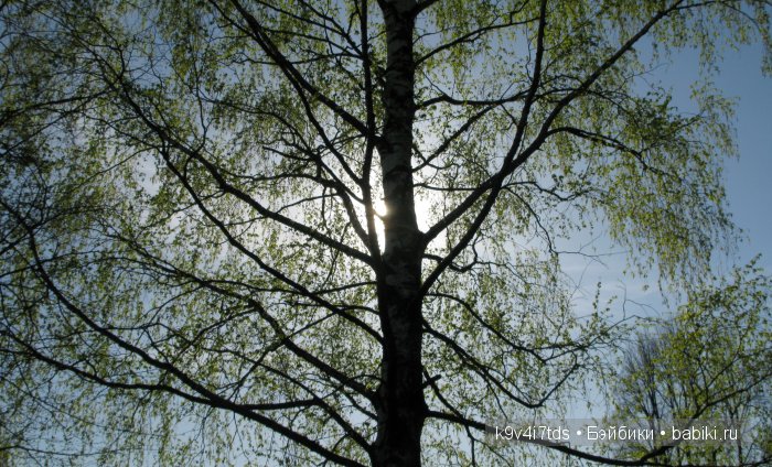 Путешествие с Натали по Тверскому Пушкинскому кольцу - кукла производства SFBJ молд 301