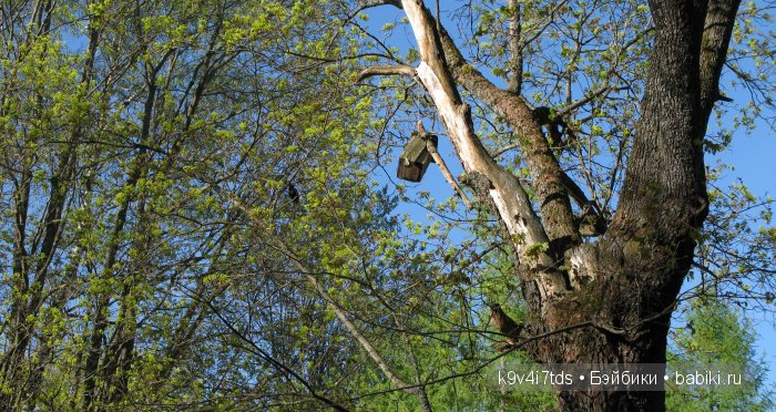 Путешествие с Натали по Тверскому Пушкинскому кольцу - кукла производства SFBJ молд 301