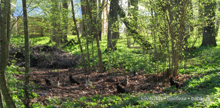 Путешествие с Натали по Тверскому Пушкинскому кольцу - кукла производства SFBJ молд 301