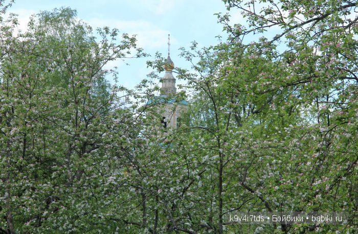 Яблони в цвету. Реплика антикварной куклы Bébé BRU JNE от автора Branka Schärli (фото 6)