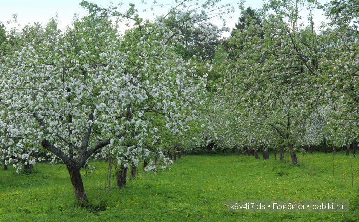 Аксинья в весеннем саду. Коллекционная кукла Heidi Plusczok (фото 3)