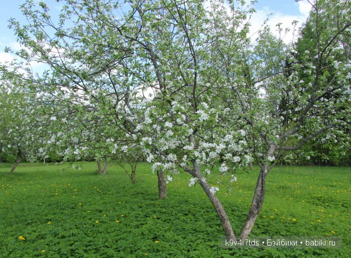 Аксинья в весеннем саду. Коллекционная кукла Heidi Plusczok (фото 4)