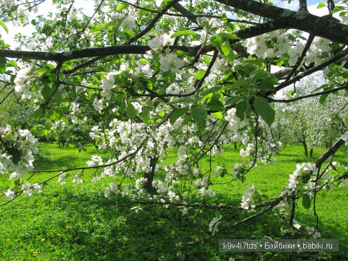 Аксинья в весеннем саду. Коллекционная кукла Heidi Plusczok (фото 8)