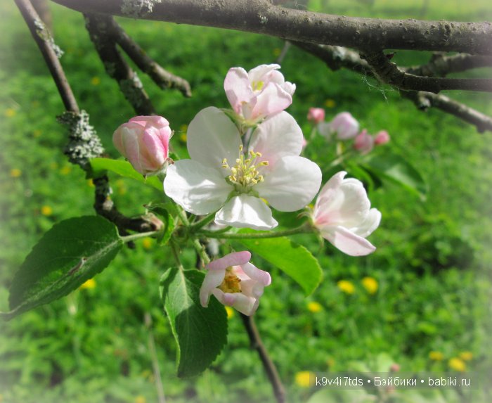 Аксинья в весеннем саду. Коллекционная кукла Heidi Plusczok (фото 7)