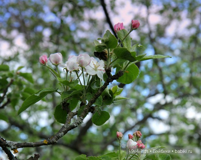 Аксинья в весеннем саду. Коллекционная кукла Heidi Plusczok (фото 5)