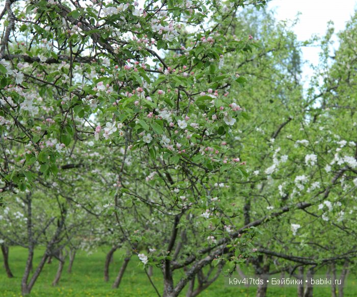Аксинья в весеннем саду. Коллекционная кукла Heidi Plusczok