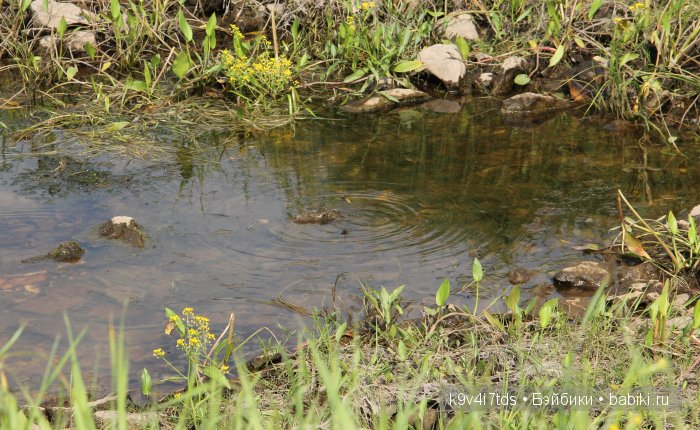 Приключения Киёми. Антикварная японская кукла, маркировка "К1", рост 15", приблизительно 1930-х годов выпуска