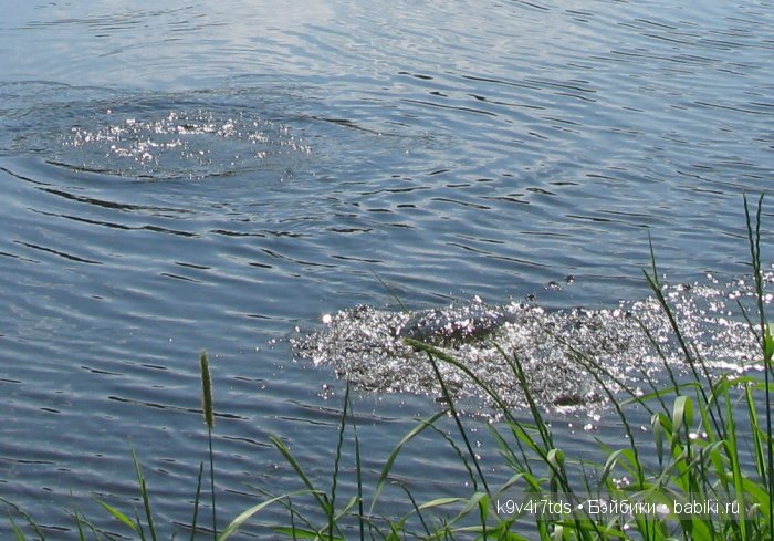 Приключения Киёми. Антикварная японская кукла, маркировка "К1", рост 15", приблизительно 1930-х годов выпуска (фото 9)
