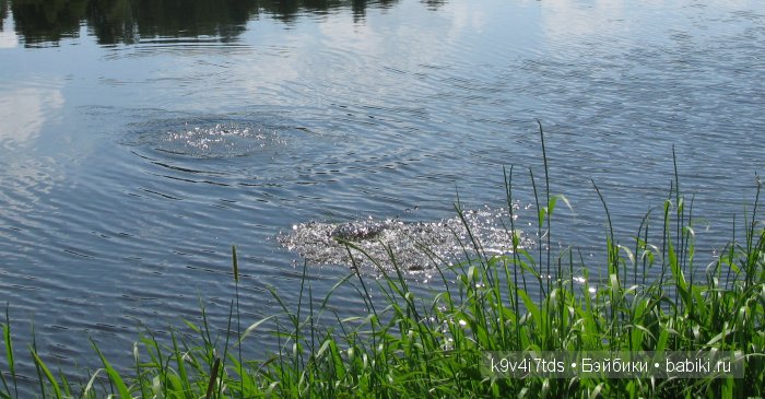 Приключения Киёми. Антикварная японская кукла, маркировка "К1", рост 15", приблизительно 1930-х годов выпуска (фото 8)