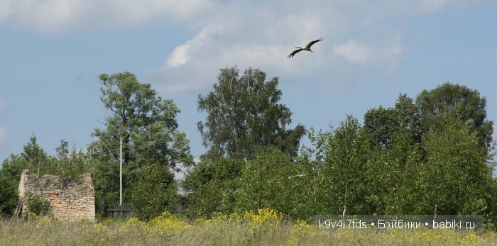 Приключения Киёми. Антикварная японская кукла, маркировка "К1", рост 15", приблизительно 1930-х годов выпуска