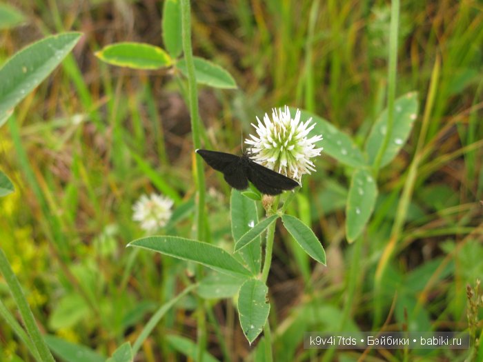 Агнешка, Шоколадик и мои летние воспоминания о детстве. Антикварная кукла, Kammer & Reinhardt, Simon & Halbig