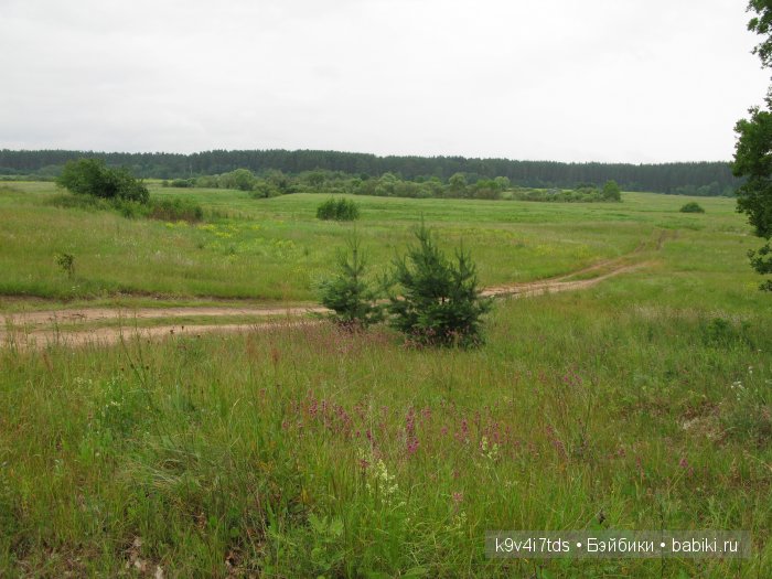 Агнешка, Шоколадик и мои летние воспоминания о детстве. Антикварная кукла, Kammer & Reinhardt, Simon & Halbig (фото 9)
