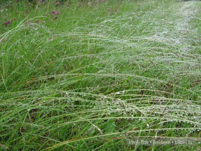 Агнешка, Шоколадик и мои летние воспоминания о детстве. Антикварная кукла, Kammer & Reinhardt, Simon & Halbig (фото 6)