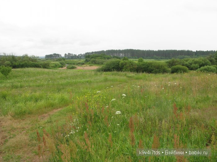 Агнешка, Шоколадик и мои летние воспоминания о детстве. Антикварная кукла, Kammer & Reinhardt, Simon & Halbig