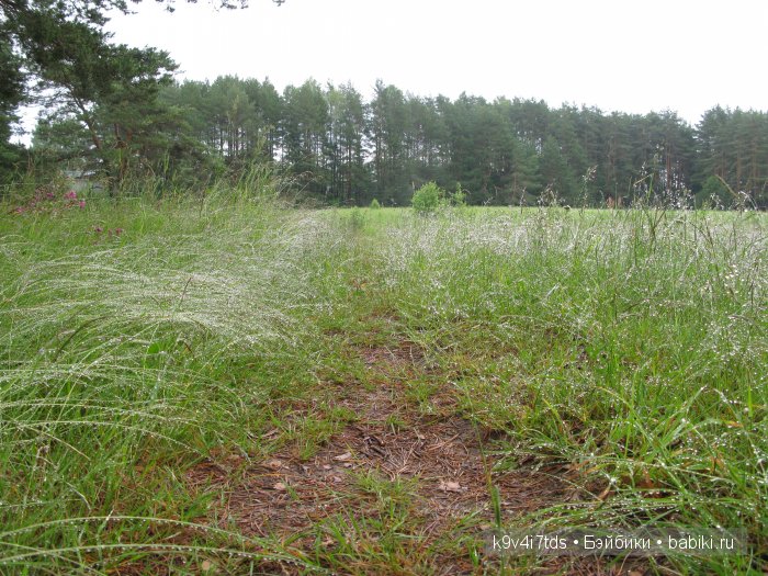 Агнешка, Шоколадик и мои летние воспоминания о детстве. Антикварная кукла, Kammer & Reinhardt, Simon & Halbig (фото 5)