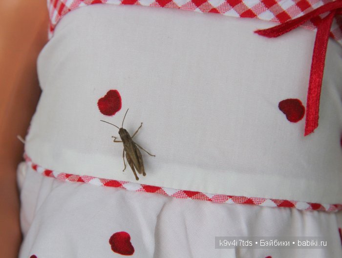 кукла Schildkrot кукла Schildkrot