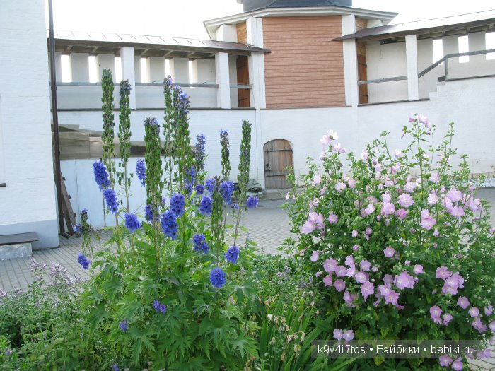 Жемчужина Земли Русской - Старицкий Свято-Успенский мужской монастырь | Бэйбики Жемчужина Земли Русской - Старицкий Свято-Успенский мужской монастырь