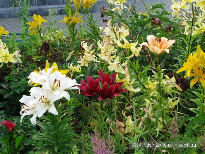 Жемчужина Земли Русской - Старицкий Свято-Успенский мужской монастырь | Бэйбики Жемчужина Земли Русской - Старицкий Свято-Успенский мужской монастырь