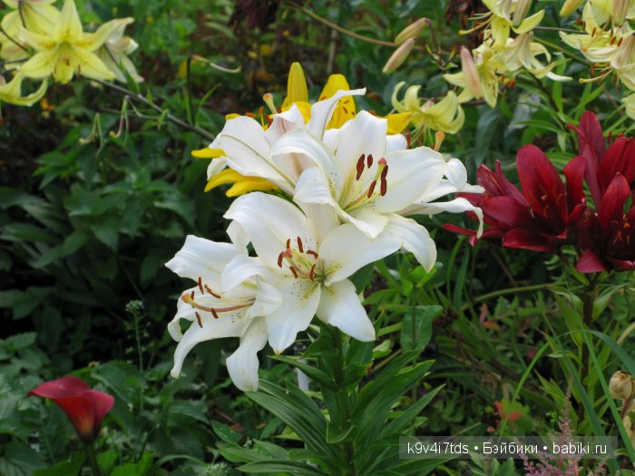 Жемчужина Земли Русской - Старицкий Свято-Успенский мужской монастырь | Бэйбики Жемчужина Земли Русской - Старицкий Свято-Успенский мужской монастырь