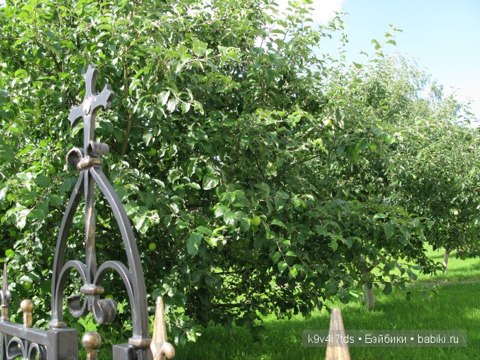 Жемчужина Земли Русской - Старицкий Свято-Успенский мужской монастырь | Бэйбики Жемчужина Земли Русской - Старицкий Свято-Успенский мужской монастырь