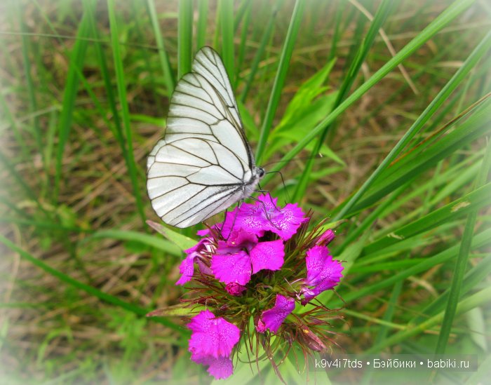 Я так хочу, чтобы лето не кончалось