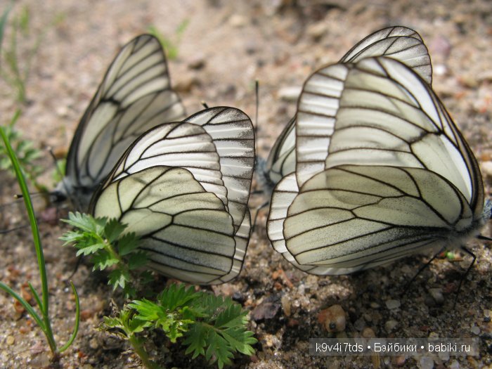 Я так хочу, чтобы лето не кончалось