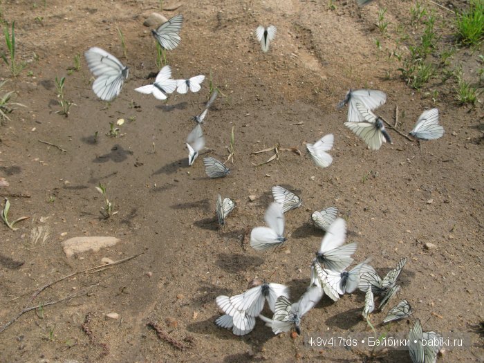 Я так хочу, чтобы лето не кончалось