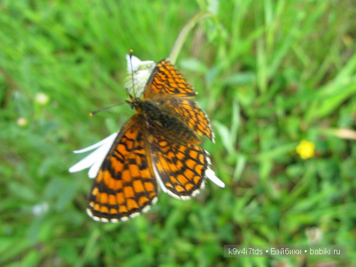 Я так хочу, чтобы лето не кончалось (фото 9)