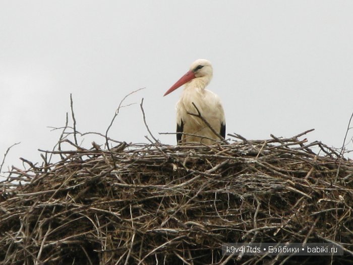 Я так хочу, чтобы лето не кончалось (фото 5)