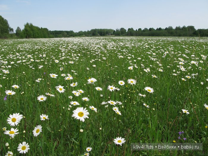 Я так хочу, чтобы лето не кончалось